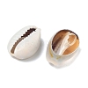 Natural Cowrie Shell Beads X-BSHE-O007-73-3