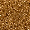 MIYUKI Round Rocailles Beads X-SEED-G007-RR0004-3