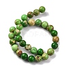 Dyed Natural Regalite/Imperial Jasper/Sea Sediment Jasper Beads Strands G-B124-C02-02-5