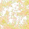 Transparent Colours Glass Seed Beads SEED-H003-01J-3