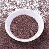 MIYUKI Delica Beads SEED-X0054-DB1013-2