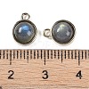 Natural Labradorite Pendants G-K372-03G-08-3