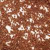 Baking Paint Glass Seed Beads X-SEED-S042-18B-01-3
