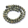 Natural Serpentine/Green Lace Stone Bead Strands X-G-R411-11-6mm-2