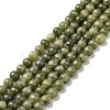 Natural Gemstone Beads GSR6mmC032-6