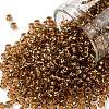 TOHO Round Seed Beads SEED-TR08-0754-1