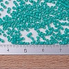 MIYUKI Delica Beads Small SEED-JP0008-DBS0729-3