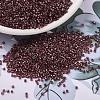 MIYUKI Delica Beads X-SEED-J020-DB1705-1