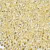 6/0 Baking Paint Transparent Fringe Glass Seed Beads SEED-N006-06B-3
