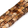 Natural Picture Jasper Beads Strands G-T139-6x6-27A-4
