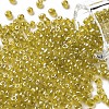 6/0 Glass Seed Beads SEED-US0003-4mm-110-1