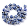 Natural Blue Spot Jasper Beads Strands G-R482-07-10mm-2