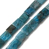 Natural Apatite Beads Strands G-F762-A19-01-1