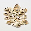 Natural Conch Shell Beads X-BSHE-O007-71-1