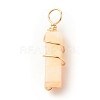 Natural Carnlian Pendants PALLOY-JF01581-05-2