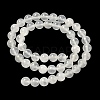Natural Selenite Beads Strands G-N328-025B-01-4