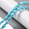 Natural Howlite Beads Strands G-H025-02B-2