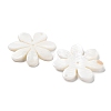 Natural Freshwater Shell Pendants X-SHEL-D082-08A-2