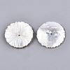 Natural White Shell Mother of Pearl Shell Beads SSHEL-N032-19-2