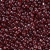 Glass Seed Beads SEED-A006-3mm-105B-2