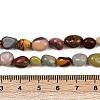Natural Alashan Agate Beads Strands X-G-Q060-D19-01-5