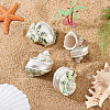 4Pcs Natural Shell FIND-PH0027-49-3