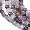 Natural Fluorite Beads Strands G-P530-B04-02A-5