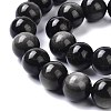 Natural Silver Obsidian Beads Strands G-D083-01A-3