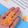 Transparent Acrylic Beads MACR-S373-127-D05-2
