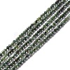 Natural Seraphinite Beads Strands G-A021-07B-1