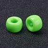 Opaque Acrylic European Large Hole Beads PL338-8-3