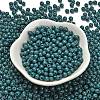 Opaque Colours Glass Seed Beads SEED-C001-02B-11-2