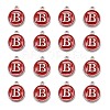 Platinum Plated Alloy Enamel Charms ENAM-S118-03B-P-2