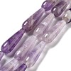 Natural Amethyst Beads Strands G-P528-H15-01-1