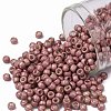 TOHO Round Seed Beads SEED-JPTR08-0553F-1