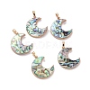 Natural Abalone Shell/Paua Shell Pendants SSHEL-L019-08G-1