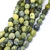 Natural Serpentine Beads Strands G-O173-049-1