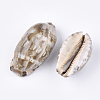 Cowrie Shell Beads SSHEL-S258-59B-2