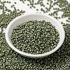 MIYUKI Round Rocailles Beads X-SEED-G008-RR2033-2
