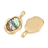 Brass Natural Paua Shell Irregular Pendants KK-I453-01G-02-2