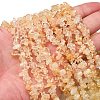 Natural Citrine Beads Strands G-P332-51-5