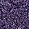 MIYUKI Round Rocailles Beads SEED-X0054-RR0223-3