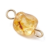 Natural Amber Connector Charms PALLOY-JF05158-4