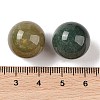Natural Indian Agate No Hole Sphere Beads G-K353-04D-09-3