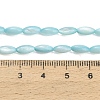 Natural Freshwater Shell Beads Strands SHEL-C010-01C-4