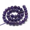 Natural Amethyst Beads Strands G-R446-10mm-21-2
