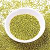 MIYUKI Delica Beads SEED-X0054-DB1835-2
