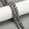 Natural Labradorite Beads Strands G-G448-8mm-04A-5