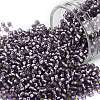 TOHO 11/0 Round Beads SEED-XTR11-0039F-1