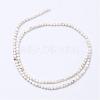 Natural Magnesite Bead Strands G-P286-10-3mm-2